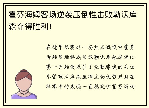 霍芬海姆客场逆袭压倒性击败勒沃库森夺得胜利！